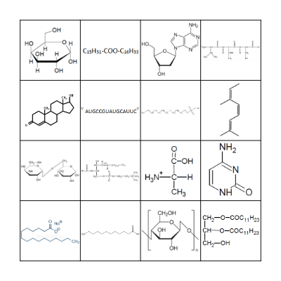 Biomolécules Bingo Card