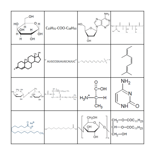 Biomolécules Bingo Card