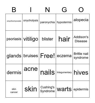The Integumentary System Bingo Card