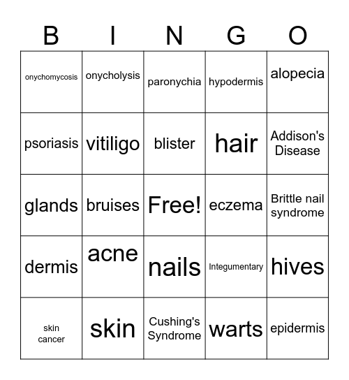 The Integumentary System Bingo Card