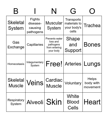 Test 2.2: Body Systems Bingo Card