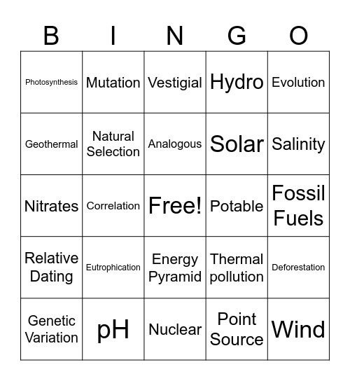 Mid-Term Vocabulary Bingo Card