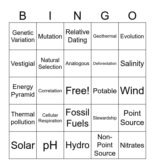 Mid-Term Vocabulary Bingo Card