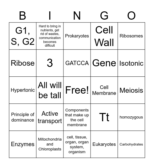 Game 1 24 Fall final review bio Bingo Card
