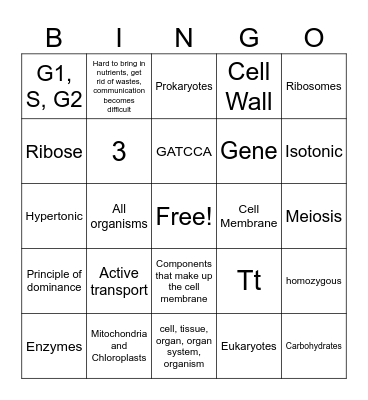 2024 New Biology Fall Final Bingo Card
