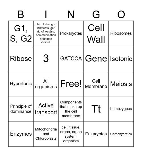 2024 New Biology Fall Final Bingo Card