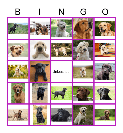 12-13-2024 Bingo Card