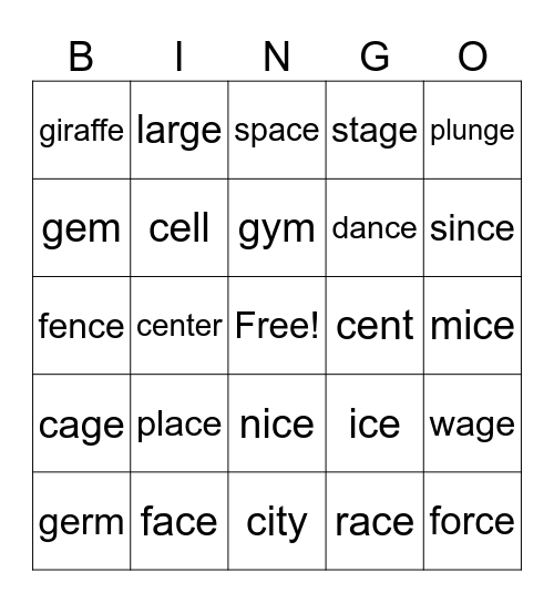 Soft c and g Bingo Card