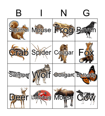 Animals Bingo Card