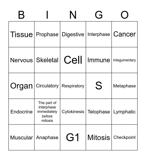 Mitosis and Body Systems Bingo Card