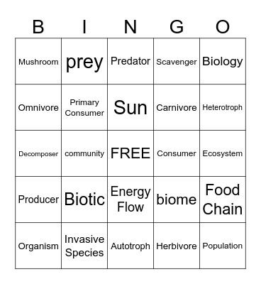 Food Chain and Food Webs Bingo Card