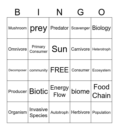 Food Chain and Food Webs Bingo Card