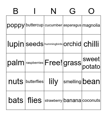Bingo #12 - Science Bingo Card