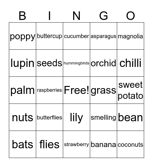 Bingo #12 - Science Bingo Card