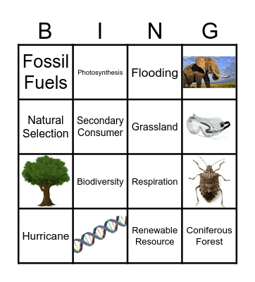 Environmental Science Bingo Card