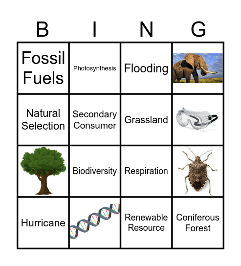 Environmental Science Bingo Card