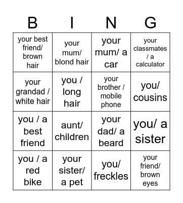 Have got/Has got questions Bingo Card