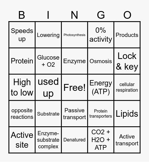 S1 Bio Exam Review Bingo Card