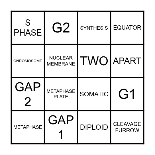 MITOSIS BINGO Card