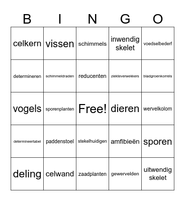 3BB Thema 3 Ordening Bingo Card