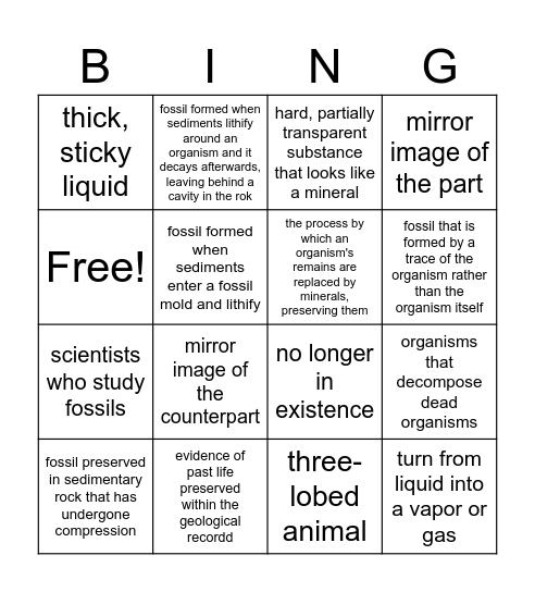 Fossils in Rock Bingo Card