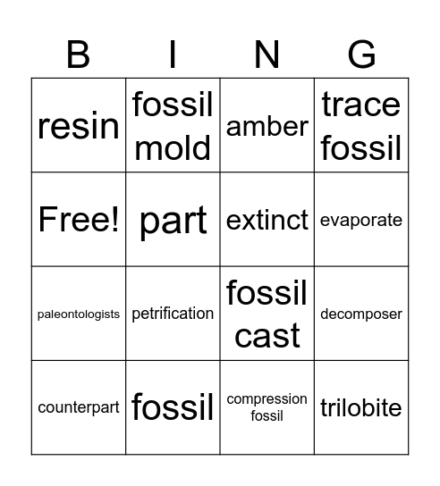 Fossils in Rock Vocab Bingo Card