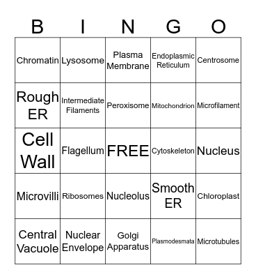 Biology: A Tour of the Cell Bingo Card