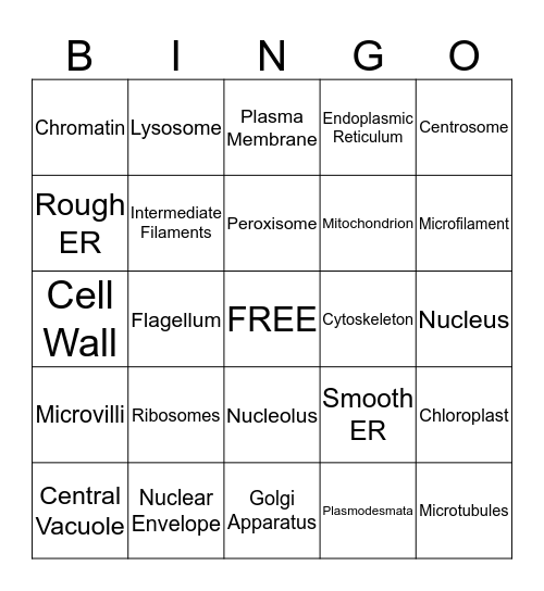 Biology: A Tour of the Cell Bingo Card