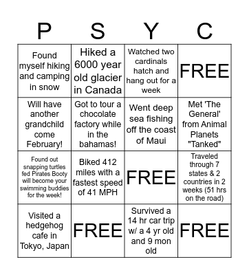 Summer News Bingo Card