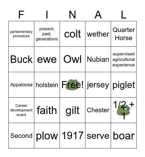 My FFA final Bingo Card