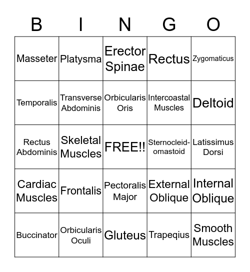 HEAD, TRUNK AND NECK MUSCULAR BINGO Card