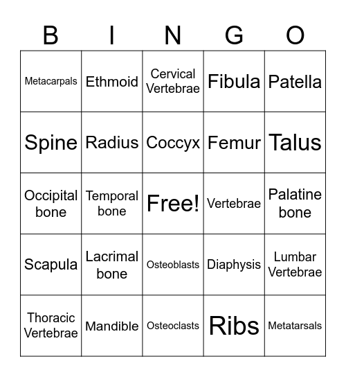 BONE BINGO! Bingo Card