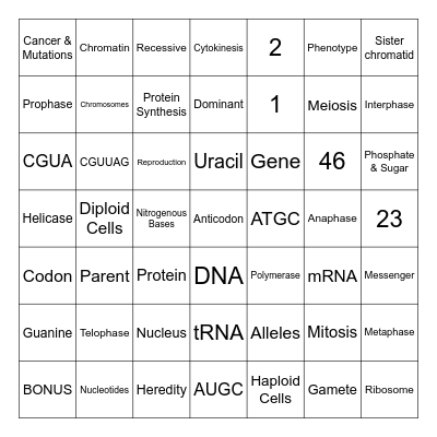 Chapter 9 Review Bingo Card