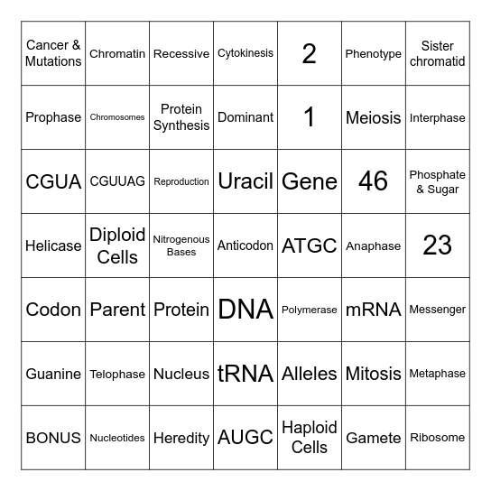 Chapter 9 Review Bingo Card