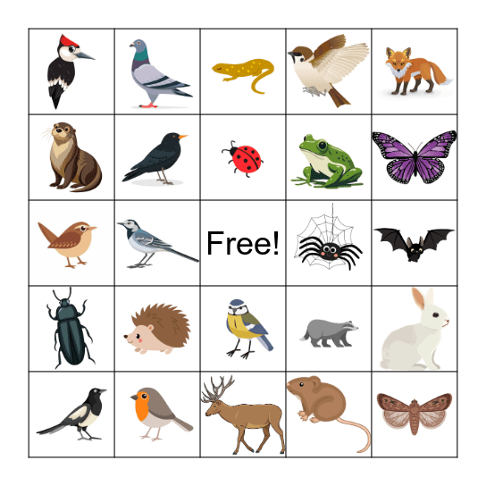 British Wildlife Bingo Card