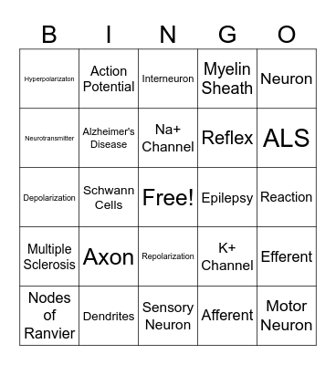 Electrical Communication (Nervous System) Bingo Card