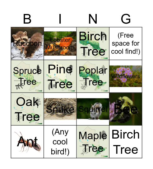 Camp Bingo Card