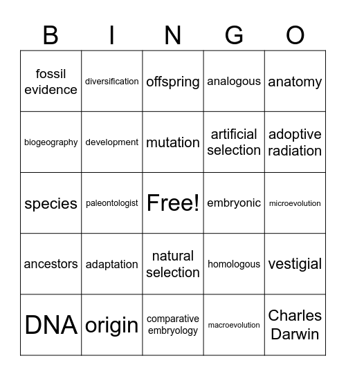 Evidence for evolution Bingo Card