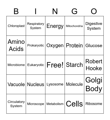 SCIENCE Bingo Card