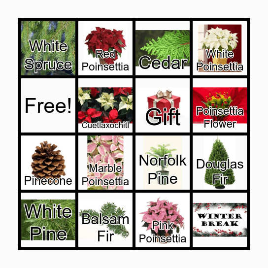 Horticulture Bingo Card