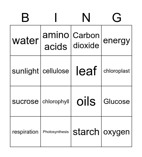 Photosynthesis BINGO Card