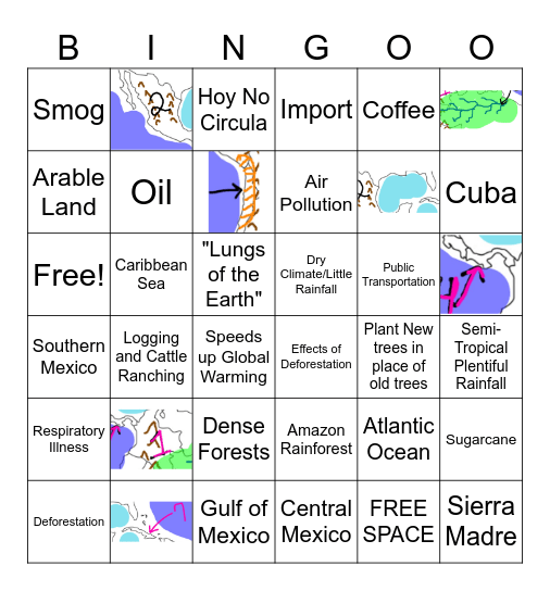 Geography & Environmental Issues Latin America Bingo Card