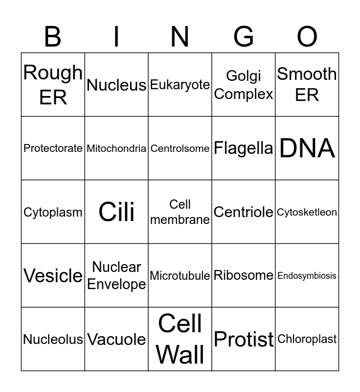 BINGO WAS HIS NAMEO Bingo Card