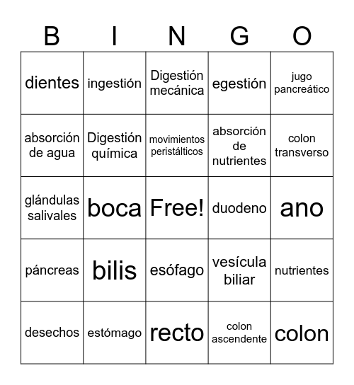 Bingo Sistema Digestivo Bingo Card