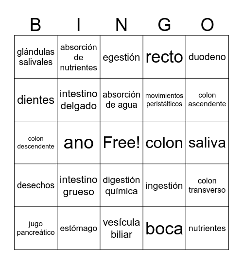 Bingo Sistema Digestivo Bingo Card