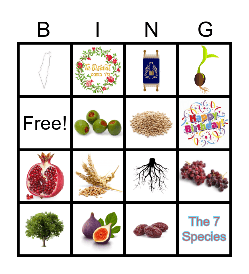 Tu Bshvat Bingo Card