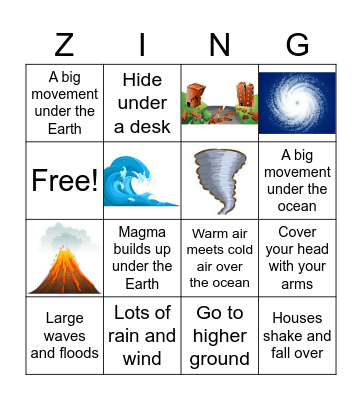 Natural Disaster Zing Bingo Card