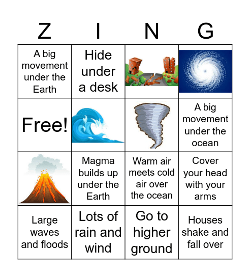 Natural Disaster Zing Bingo Card