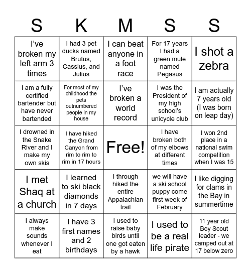 MSS Mingle Bingo Card