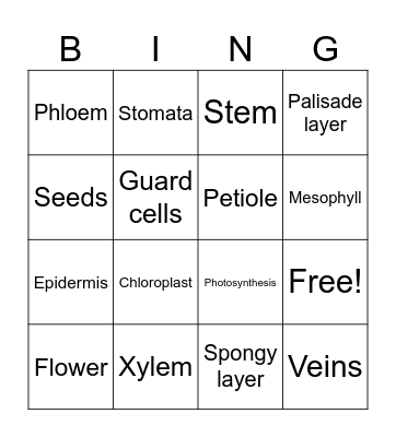 Plant Organs and Tissue Bingo Card